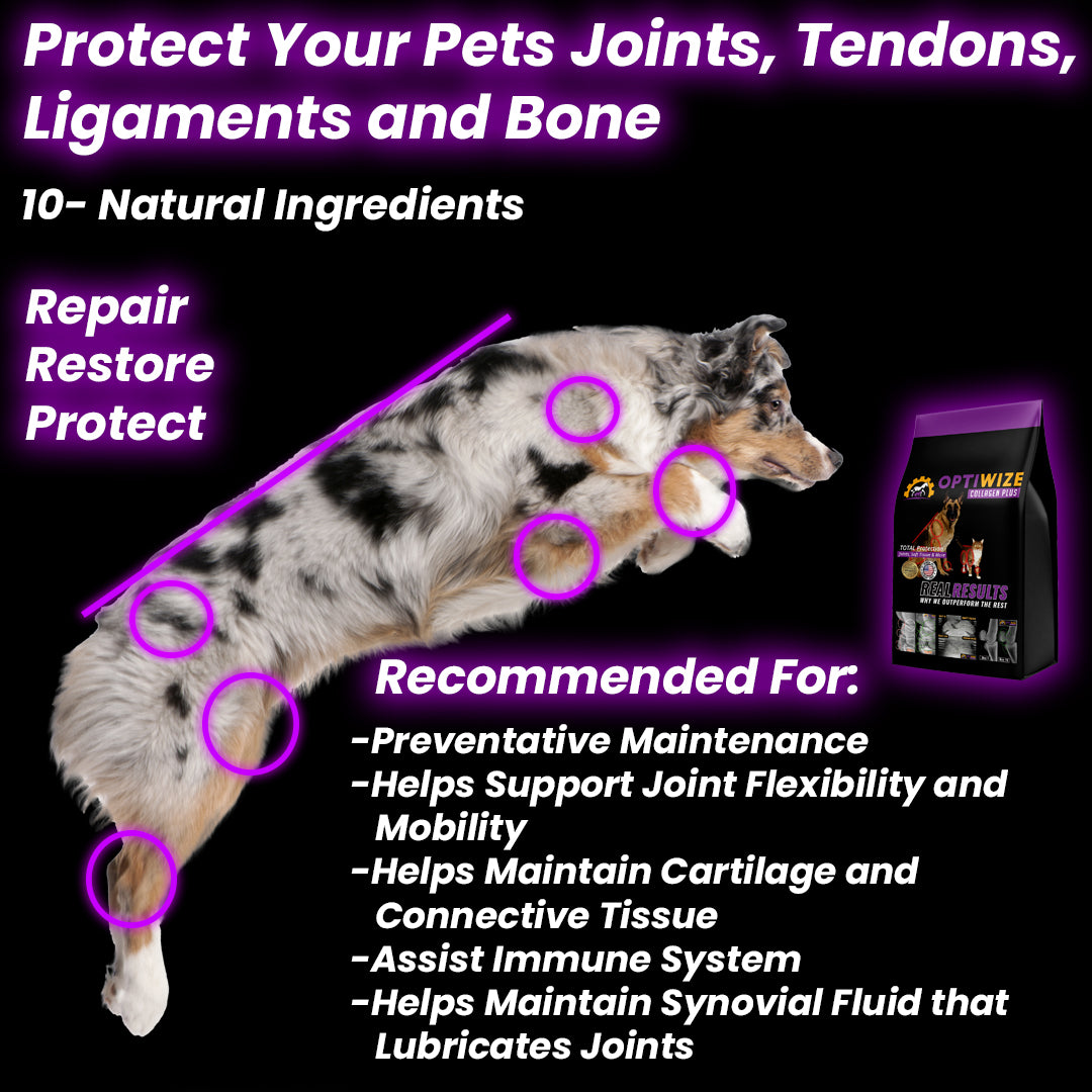 Dog Joint supplement, joint supplements for dogs, supplement for old dogs, tendon and ligament supplement for dogs, pain relief for dogs, Collagen for dogs