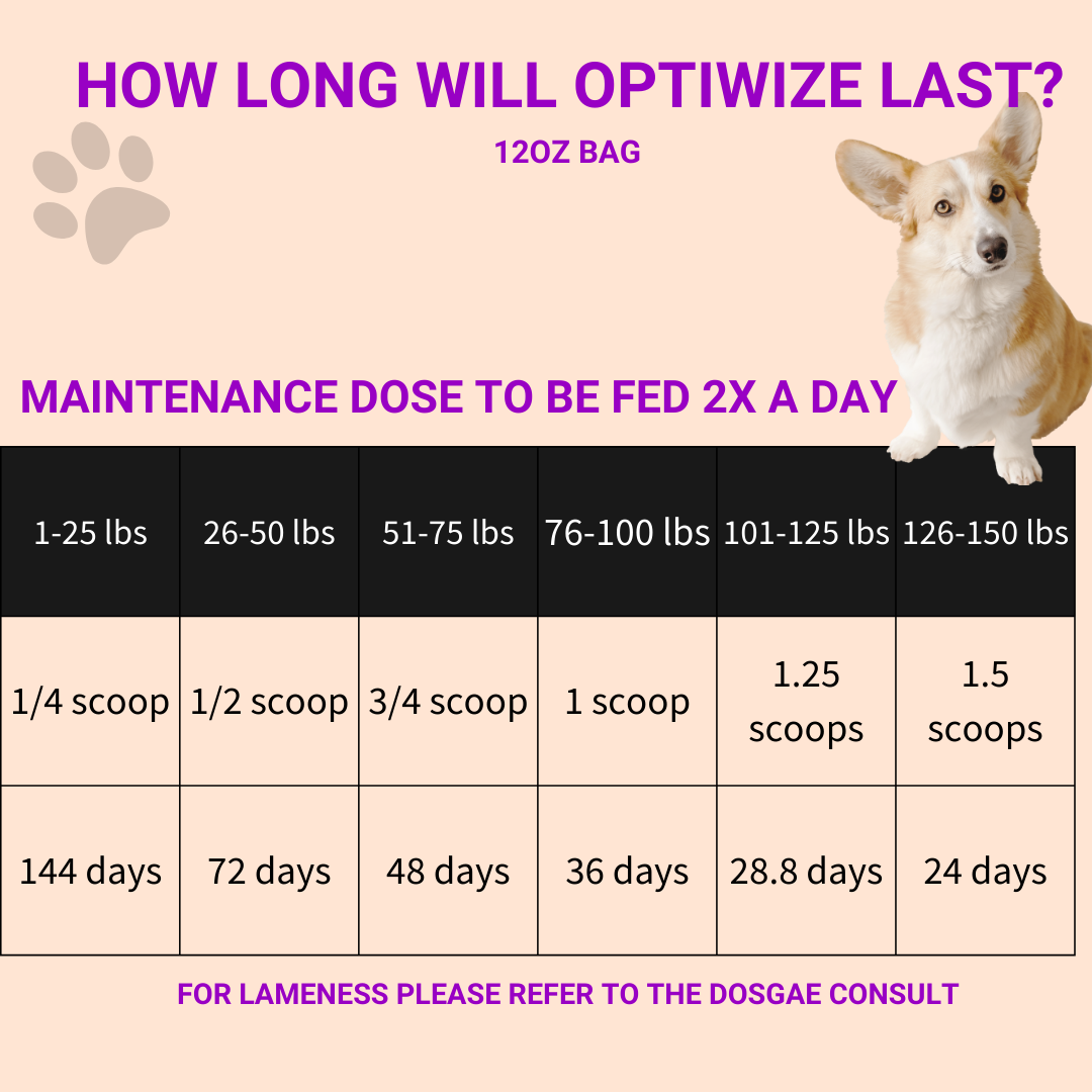 Dog Joint Supplement, Supplement for Dogs and Cats